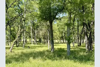 1099 Hidden Oaks Drive, Wills Point, TX 75169 - Photo 3