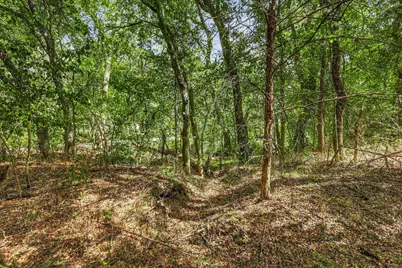 Tbd Fm 1578, Frost, TX 76641 - Photo 7