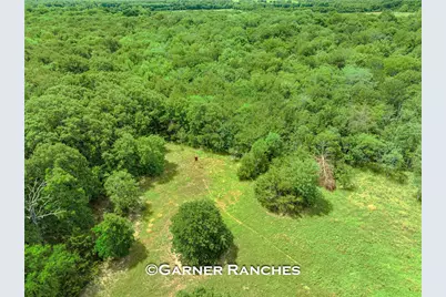 0000 County Road 1019, Celeste, TX 75423 - Photo 11