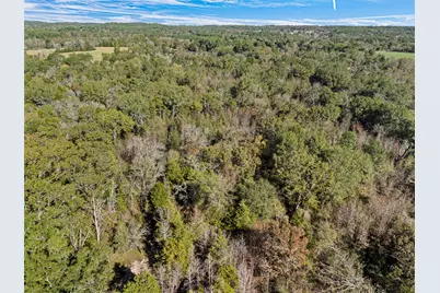 Tbd Vz County Road 4815, Chandler, TX 75758 - Photo 9