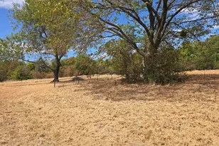 Lot 344 Meadow Heath, Gun Barrel City, TX 75156 - Photo 1
