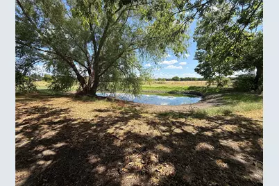 4411 Fm 100, Honey Grove, TX 75446 - Photo 5