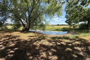 4411 FM100, Honey Grove, TX 75446 - Photo 5