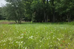 8415 Hollandbush Ct, Cleburne, TX 76033 - Photo 1