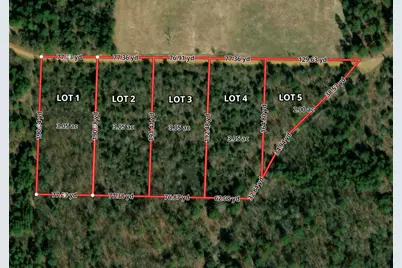 Tbd County Road 3999, Winnsboro, TX 75494 - Photo 1