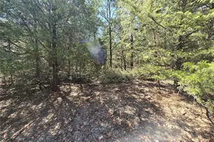 162 Cypress Cove, Holly Lake Ranch, TX 75765 - Photo 19