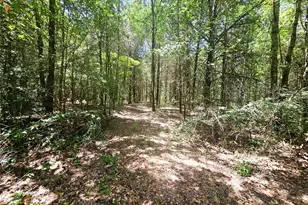 1115 Co Rd 3160, Quitman, TX 75783 - Photo 27
