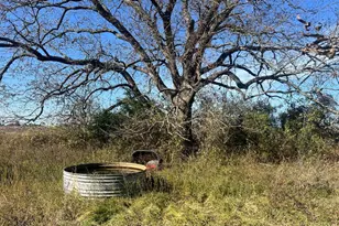 0000 Lcr 454, Groesbeck, TX 76642 - Photo 1