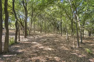 4031 Morgans Way, Midlothian, TX 76065 - Photo 29