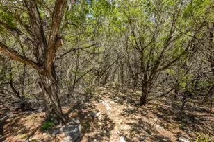 3501 Pursley Rd, Dripping Springs, TX 78620 - Photo 29