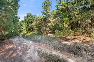 6723 Co Rd 4837, LaRue, TX 75770 - Photo 27