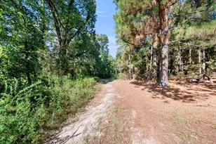 6723 Co Rd 4837, LaRue, TX 75770 - Photo 7