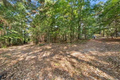 6723 County Road 4837, LaRue, TX 75770 - Photo 23