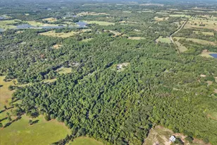 6723 Co Rd 4837, LaRue, TX 75770 - Photo 17