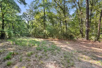 6723 County Road 4837, LaRue, TX 75770 - Photo 25