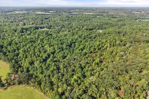 6723 Co Rd 4837, LaRue, TX 75770 - Photo 21