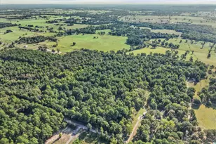 6723 Co Rd 4837, LaRue, TX 75770 - Photo 15