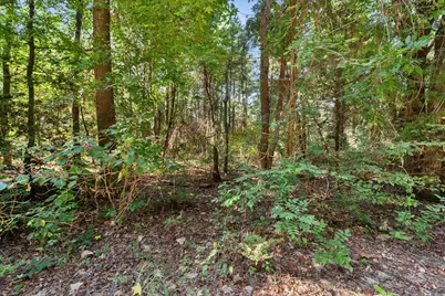 6723 County Road 4837, LaRue, TX 75770 - Photo 29