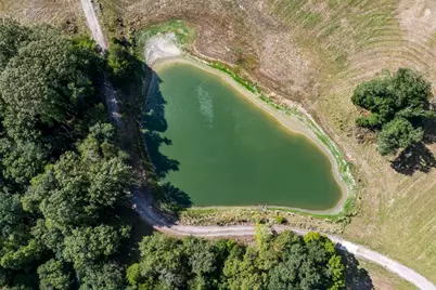 12305 Fm 753, Athens, TX 75751 - Photo 11