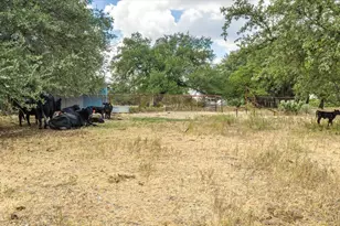 4184 Hwy 144, Glen Rose, TX 76043 - Photo 19