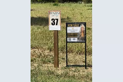 Lot 37 Jim Bynum Boulevard, Oak Leaf, TX 75154 - Photo 3
