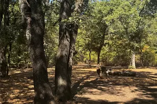 568 Co Rd 1771, Chico, TX 76431 - Photo 35