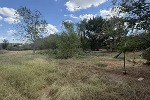 471 Cardinal Dr, Springtown, TX 76082 - Photo 21