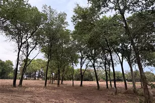 4772 County Rd 707, Alvarado, TX 76009 - Photo 1