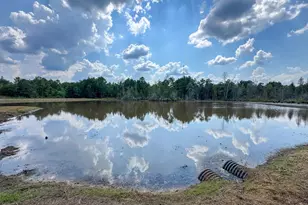 2924 US-59, Jefferson, TX 75657 - Photo 39