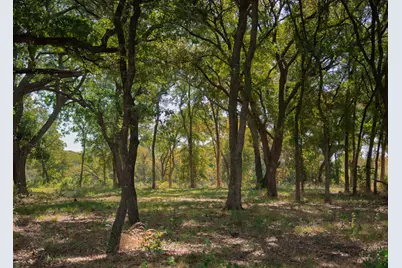 1213 Caballo, Aledo, TX 76008 - Photo 17