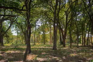 1213 Caballo, Aledo, TX 76008 - Photo 17