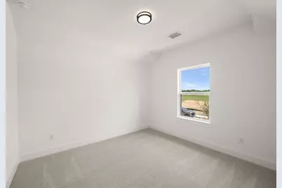 17217 Musial Court, Justin, TX 76247 - Photo 19