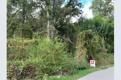 Lot 80 Whispering Oaks, Payne Springs, TX 75156 - Photo 5