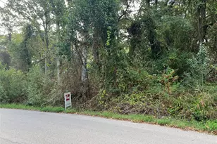 Lot 80 Whispering Oaks, Payne Springs, TX 75156 - Photo 1