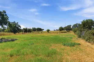 1001 Green Tree Dr, Weatherford, TX 76087 - Photo 35
