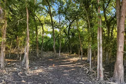1501 Park Street, Clifton, TX 76634 - Photo 3