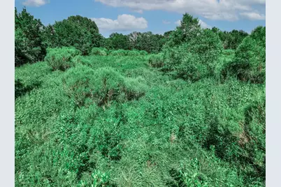 Tbd County Road 1909, Canton, TX 75117 - Photo 17