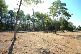 55 County Road 42351, Paris, TX 75462 - Photo 1