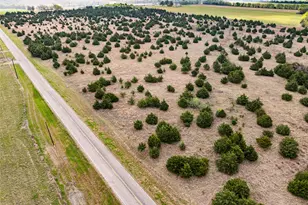 Tbd Lot 1 Fm 128, Cooper, TX 75432 - Photo 1