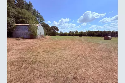 3637 County Road 2403, Winnsboro, TX 75494 - Photo 5