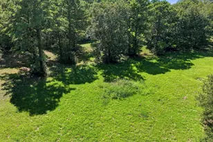 3357 E Fm 323, Palestine, TX 75801 - Photo 27