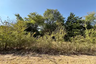Lot 19 Tanglewood Dr, Sulphur Springs, TX 75482 - Photo 1