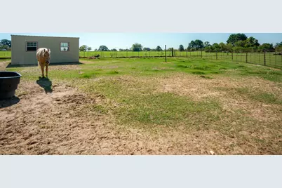 2548 Fm 857, Grand Saline, TX 75140 - Photo 7