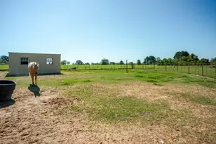 2548 Fm 857, Grand Saline, TX 75140 - Photo 7