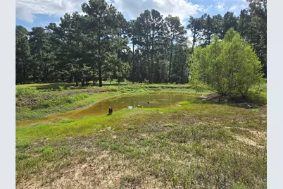 5789 Fm 811, Centerville, TX 75833 - Photo 5