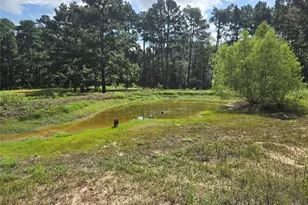 5789 FM811, Centerville, TX 75833 - Photo 5