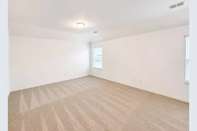 715 Roanoke Drive, Princeton, TX 75407 - Photo 19