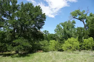 588 County Rd 430, Goldthwaite, TX 76844 - Photo 13