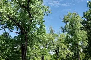 588 County Rd 430, Goldthwaite, TX 76844 - Photo 21