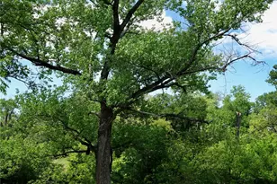 588 County Rd 430, Goldthwaite, TX 76844 - Photo 19